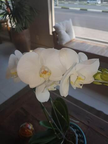 Imagen general del Hotel Portal Das &Aacute;guas. Foto 15