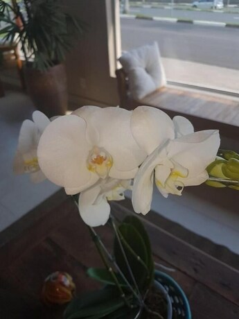 Imagen de la piscina del Hotel Portal Das &Aacute;guas. Foto 33