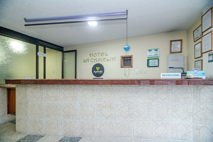 Imagen de los interiores del Hotel Portal De Milán. Foto 38