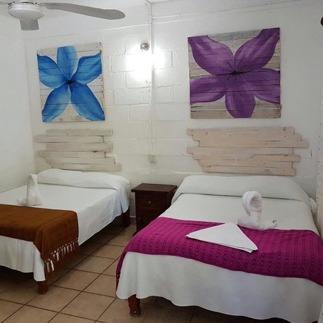 Imagen de la habitación del Hotel Posada Amor Boutique. Foto 5