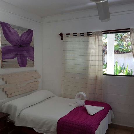 Imagen de la habitación del Hotel Posada Amor Boutique. Foto 7