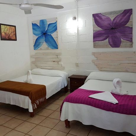 Imagen de la habitación del Hotel Posada Amor Boutique. Foto 8