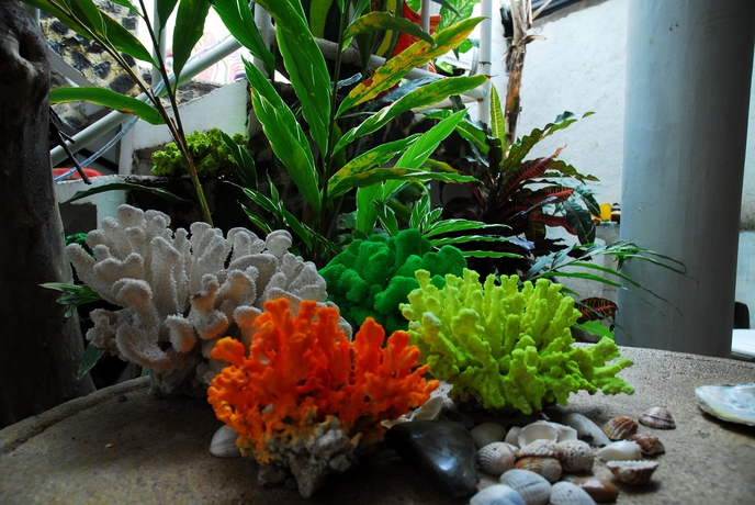 Imagen de los exteriores del Hotel Posada Bah&iacute;a Azul. Foto 13