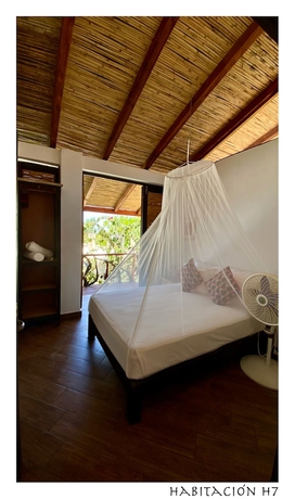 Imagen de la habitación del Hotel Posada Buda Tortuga. Foto 8