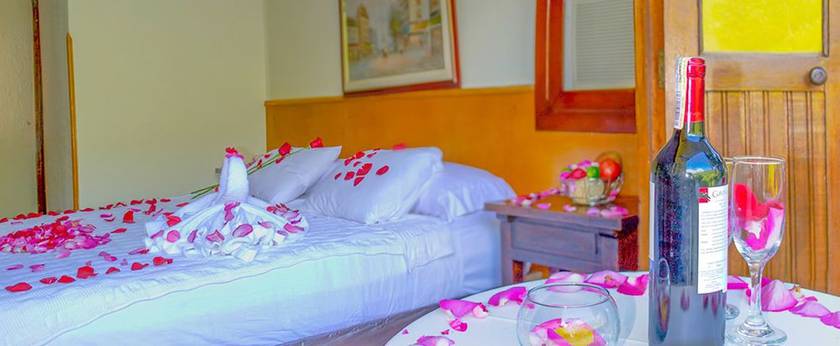 Imagen de la habitación del Hotel Posada Campestre. Foto 5