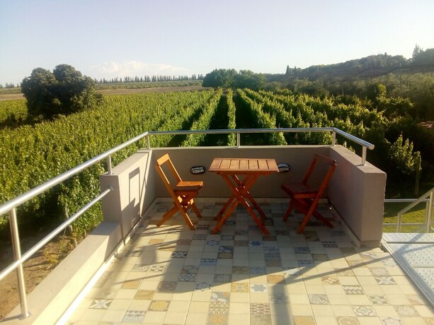 Imagen de la habitación del Hotel Posada Cavieres Wine Farm. Foto 28