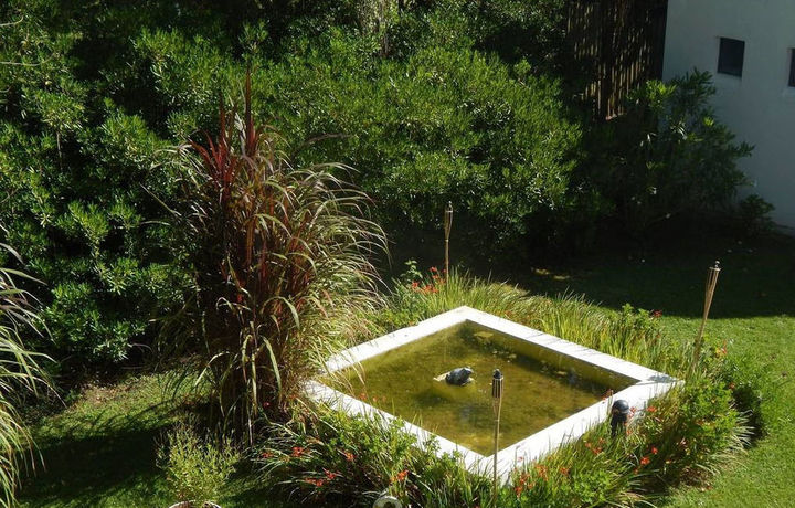 Imagen de los exteriores del Hotel Posada De Los Pajaros. Foto 13