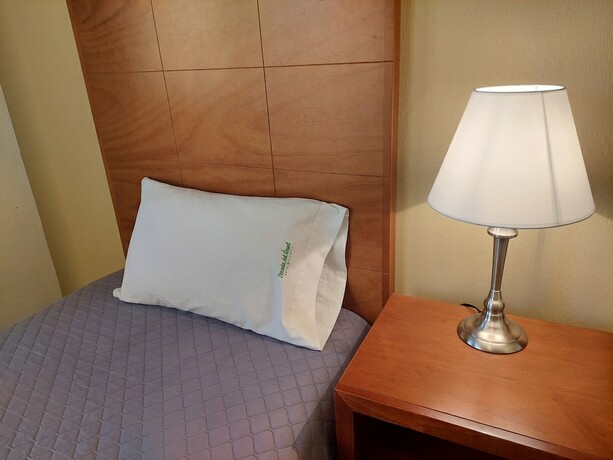 Imagen general del Hotel Posada Del &Aacute;ngel, Pachuca. Foto 12