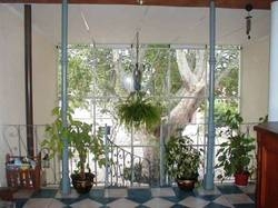 Imagen general del Hotel Posada Del Arbol. Foto 5