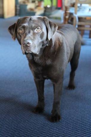 Imagen general del Hotel Posada Del Fin Del Mundo. Foto 27