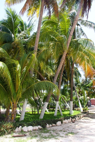Imagen de los interiores del Hotel Posada Del Mar, Isla Mujeres. Foto 10
