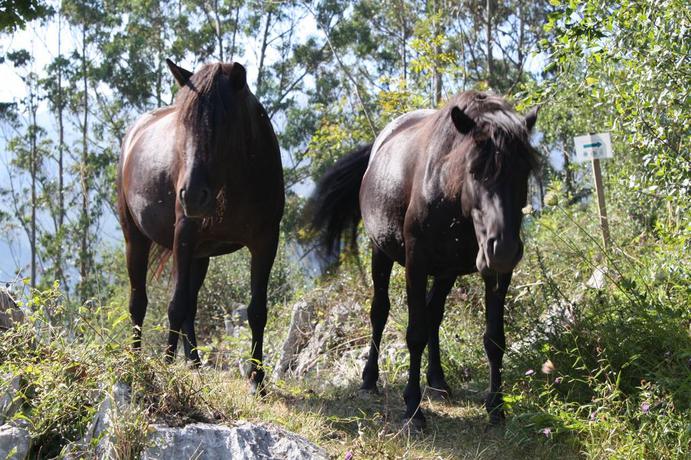 Imagen de los exteriores del Hotel Posada Del Valle. Foto 7