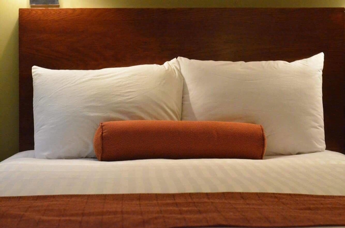 Imagen de la habitación del Hotel Posada Del Virrey, Xalapa. Foto 14