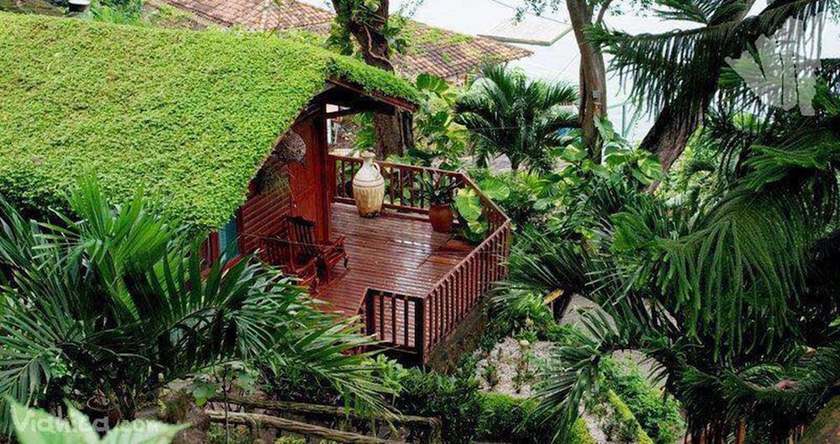 Imagen de la habitación del Hotel Posada Ecologica La Abuela. Foto 4