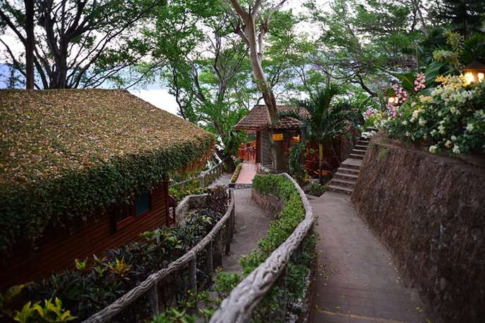 Imagen de los interiores del Hotel Posada Ecologica La Abuela. Foto 12