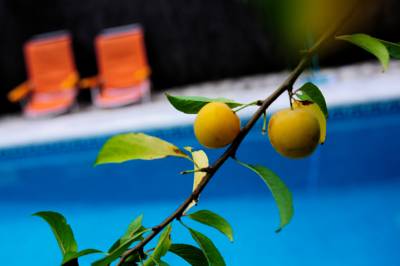 Imagen de la piscina del Hotel Posada El Parral - Hostel. Foto 6