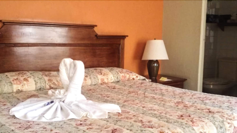 Imagen de la habitación del Hotel Posada Hidalgo Inn. Foto 7