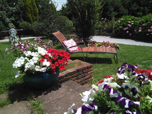 Imagen general del Hotel Posada La Cotía. Foto 5