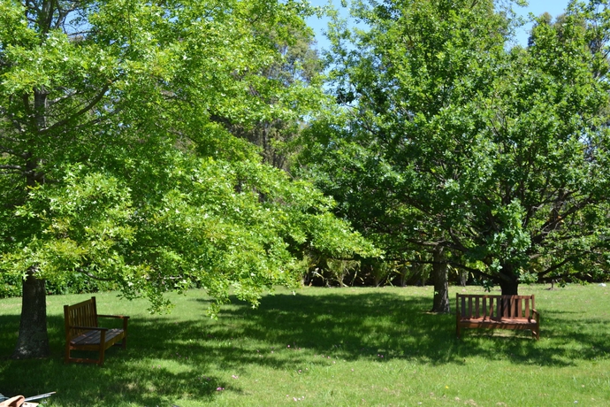 Imagen de los exteriores del Hotel Posada La Merced. Foto 12