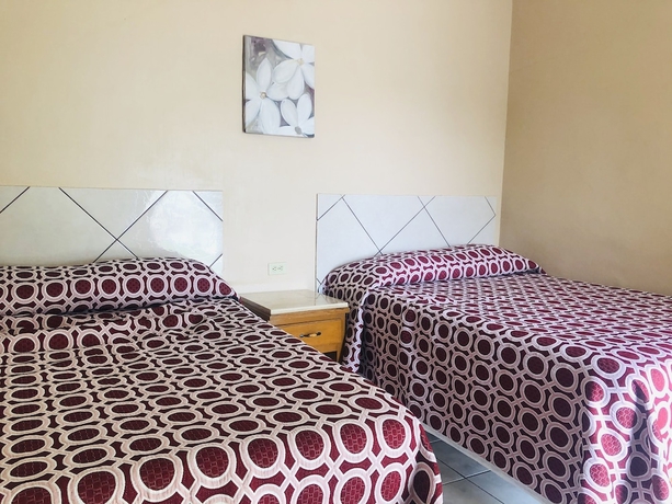 Imagen de la habitación del Hotel Posada Los Olivos By Rotamundos. Foto 5