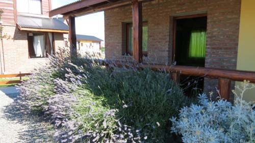 Imagen general del Hotel Posada Newenkelen. Foto 27