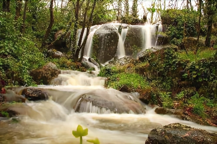 Imagen de los exteriores del Hotel Posada Real Abadia San Martin. Foto 11