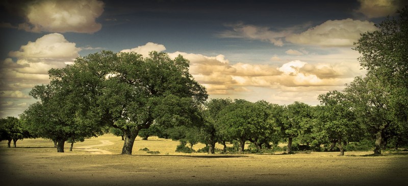 Imagen general del Hotel Posada Real Del Buen Camino. Foto 2