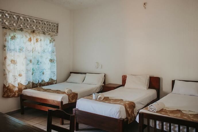 Imagen de la habitación del Hotel Posada San Jose. Foto 14