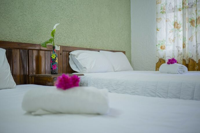 Imagen de la habitación del Hotel Posada San Jose. Foto 17