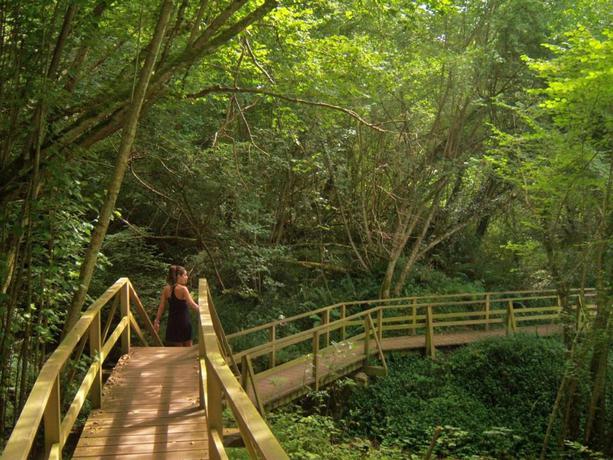 Imagen general del Hotel Posada de Muño. Foto 4