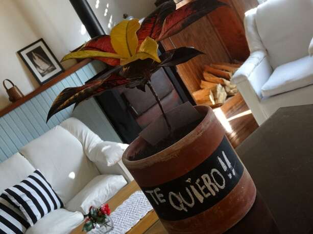Imagen general del Hotel Posada de la Flor. Foto 9