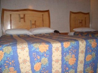 Imagen general del Hotel Posada del Hidalgo. Foto 6