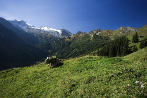 Imagen de la habitación del Hotel Post, Kaltenbach. Foto 16
