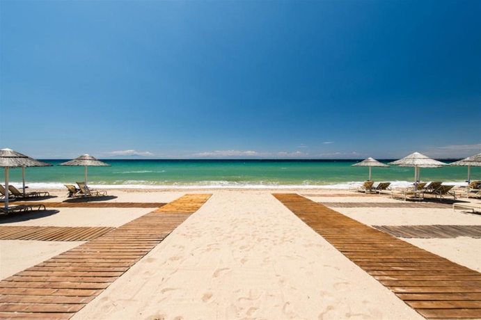 Imagen general del Hotel Potidea Palace - All Inclusive. Foto 13