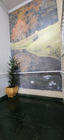 Imagen general del Hotel Pousada Arauc&aacute;ria, Campos do Jordao. Foto 6