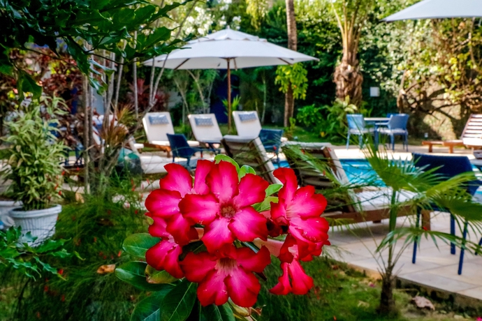 Imagen de los exteriores del Hotel Pousada Arriba Pipa. Foto 19