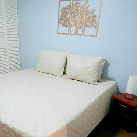 Imagen general del Hotel Pousada Arvore Da Vida, Teres&oacute;polis. Foto 6