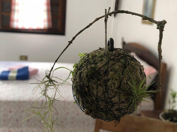 Imagen de la habitación del Hotel Pousada Atelier Aly da Costa. Foto 12