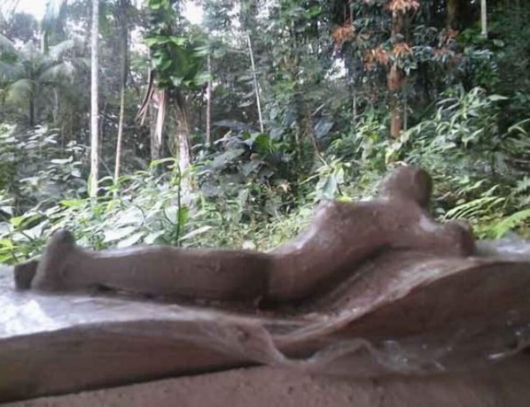 Imagen general del Hotel Pousada Atelier Aly da Costa. Foto 3