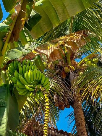 Imagen general del Hotel Pousada BEM BEM B&uacute;zios. Foto 15