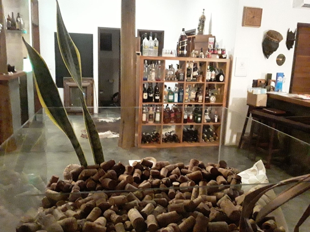 Imagen de los interiores del Hotel Pousada Bambu Dourado. Foto 18