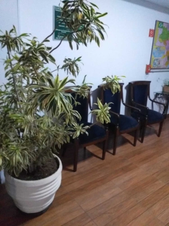 Imagen de la habitación del Hotel Pousada Beija-Flor, Po&ccedil;os de Caldas. Foto 13