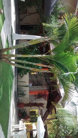 Imagen de los interiores del Hotel Pousada Bore Koko. Foto 17