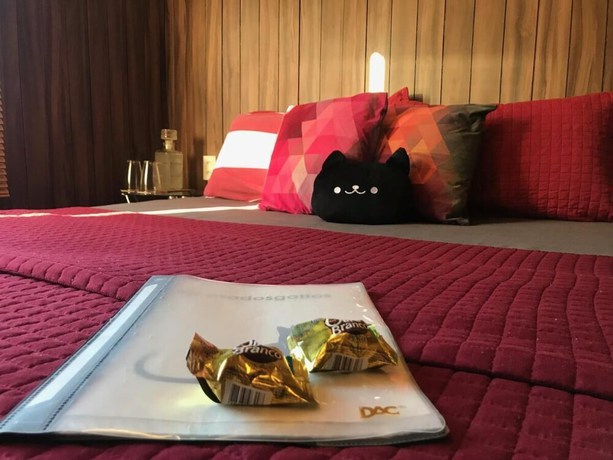 Imagen de la habitación del Hotel Pousada Casa dos Gattos - Prox Aero GRU. Foto 5