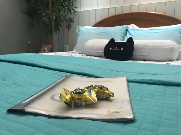 Imagen de la habitación del Hotel Pousada Casa dos Gattos - Prox Aero GRU. Foto 11