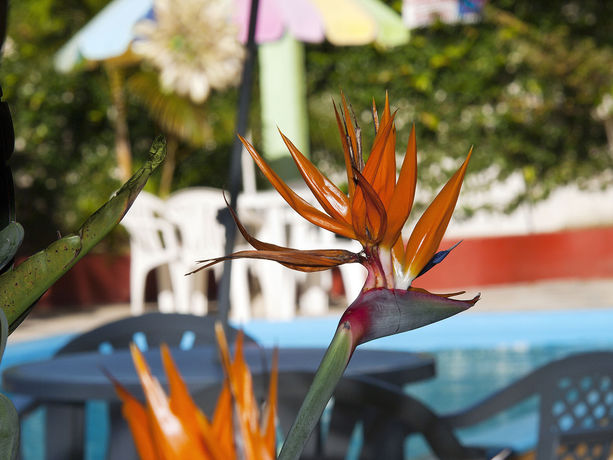 Imagen de la habitación del Hotel Pousada Chaday. Foto 6