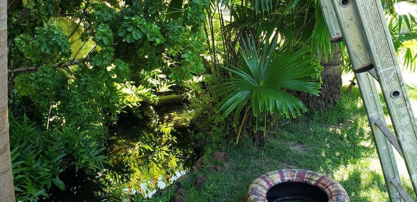 Imagen de los exteriores del Hotel Pousada Conquistador. Foto 14