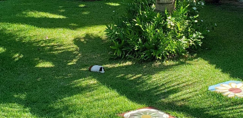 Imagen general del Hotel Pousada Conquistador. Foto 3