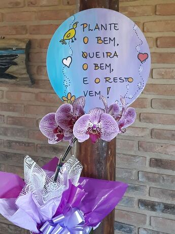 Imagen general del Hotel Pousada Coral de Fogo. Foto 9