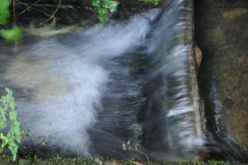 Imagen general del Hotel Pousada Da Alcobaca. Foto 5